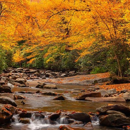 Peace, Serenity & Relaxation In The Smokies! جاتلينبرج المظهر الخارجي الصورة