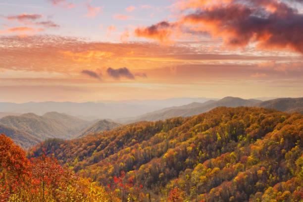 Peace, Serenity & Relaxation In The Smokies! جاتلينبرج المظهر الخارجي الصورة