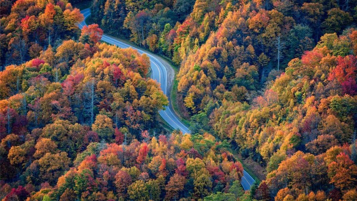 Peace, Serenity & Relaxation In The Smokies! جاتلينبرج المظهر الخارجي الصورة